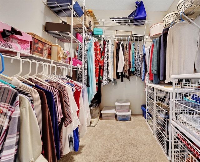 walk in closet with carpet