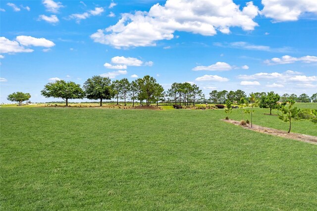 8606 SW 61st Loop, Ocala, FL 34481 - view of green lawn featuring a view of rural / pastoral area