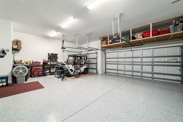 8606 SW 61st Loop, Ocala, FL 34481 - view of garage