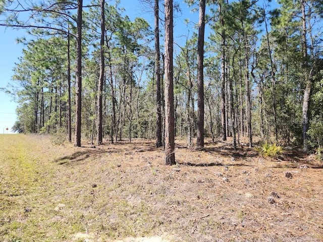 LOT12 SW 66th St, Ocala, FL 34481