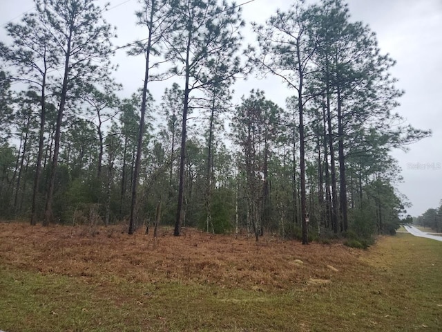 LOT12 SW 66th St, Ocala, FL 34481