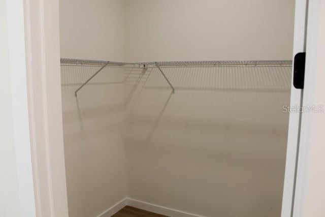 walk in closet with dark wood-style flooring