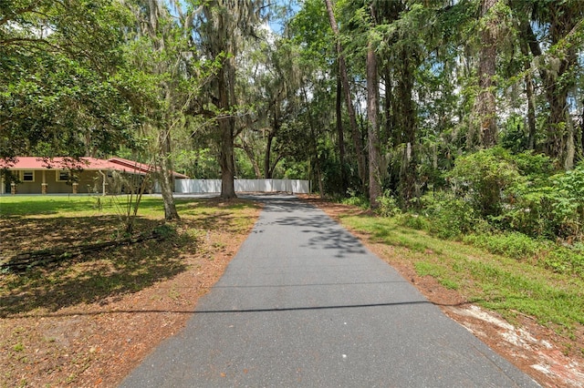 4010 SW 7th Avenue Rd, Ocala, FL 34471 - view of surrounding community