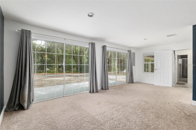 4010 SW 7th Avenue Rd, Ocala, FL 34471 - spare room featuring carpet, plenty of natural light, a textured ceiling, and electric panel
