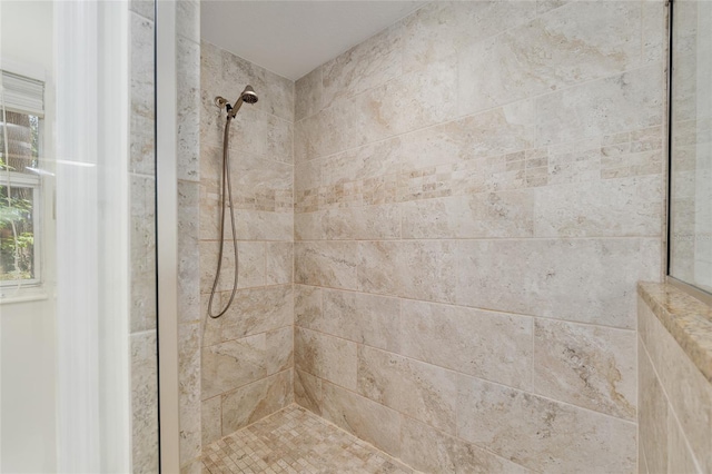 4010 SW 7th Avenue Rd, Ocala, FL 34471 - full bathroom with tiled shower