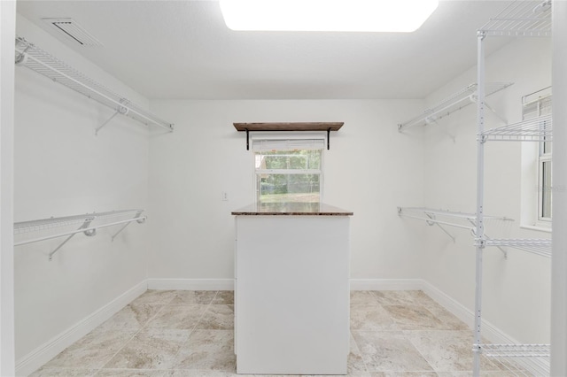 4010 SW 7th Avenue Rd, Ocala, FL 34471 - view of walk in closet