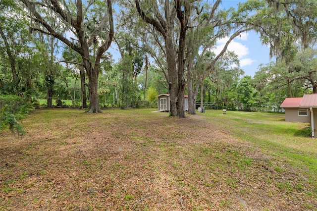 4010 SW 7th Avenue Rd, Ocala, FL 34471 - view of green lawn