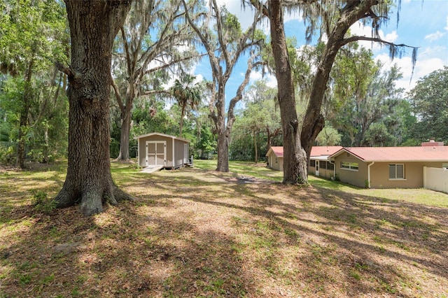 4010 SW 7th Avenue Rd, Ocala, FL 34471 - view of grassy yard