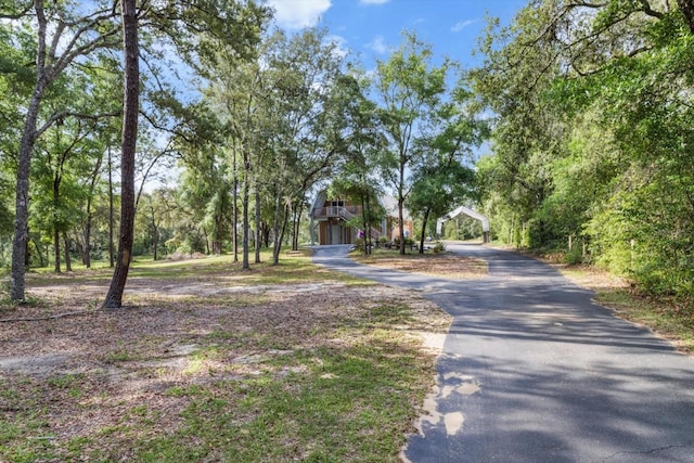 7059 N Lecanto Hwy, Hernando, FL 34442 - view of asphalt driveway