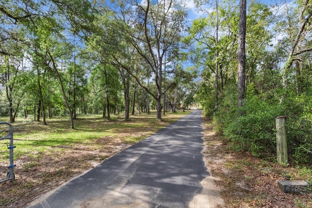 7059 N Lecanto Hwy, Hernando, FL 34442 - view of street