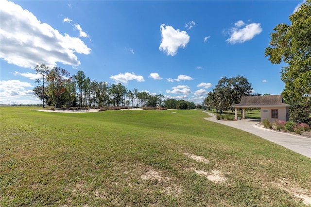 9667 SW 94th Ct Unit C, Ocala, FL 34481 - view of grassy yard