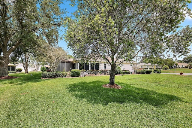 view of green lawn