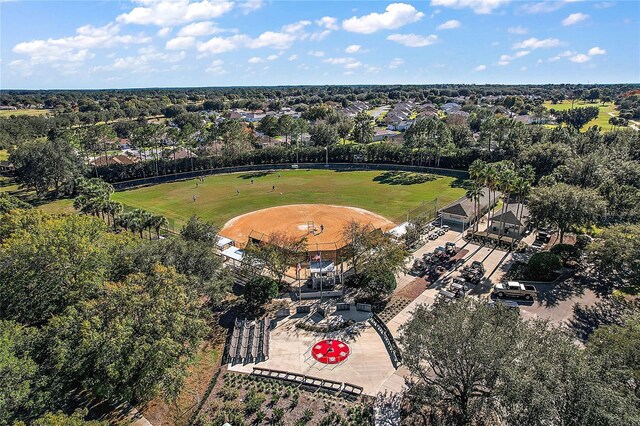 bird's eye view