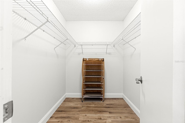 walk in closet with wood finished floors