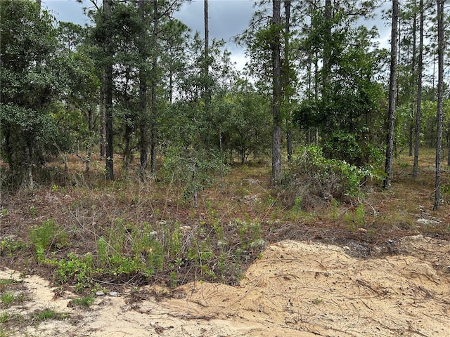 TBD NW Foxglove Ln, Dunnellon, FL 34431