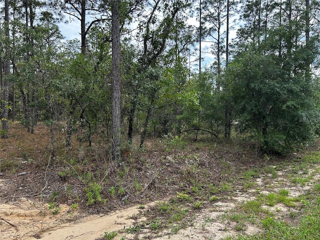 TBD NW Foxglove Ln, Dunnellon, FL 34431