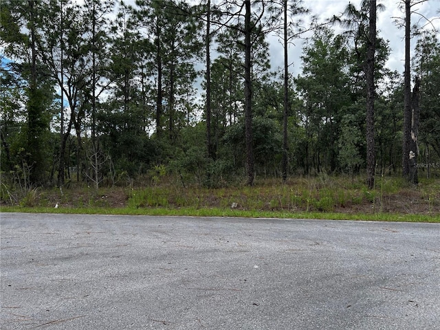 TBD NW Foxglove Ln, Dunnellon, FL 34431
