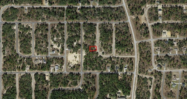 6682 N Sand Dr, Dunnellon, FL 34433