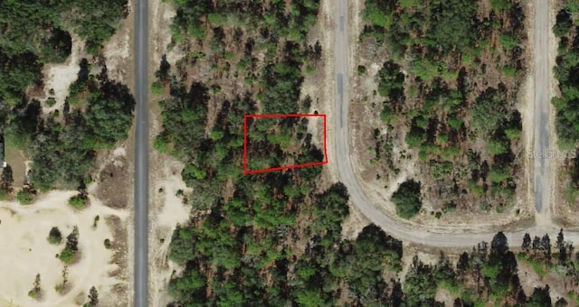 6682 N Sand Dr, Dunnellon, FL 34433