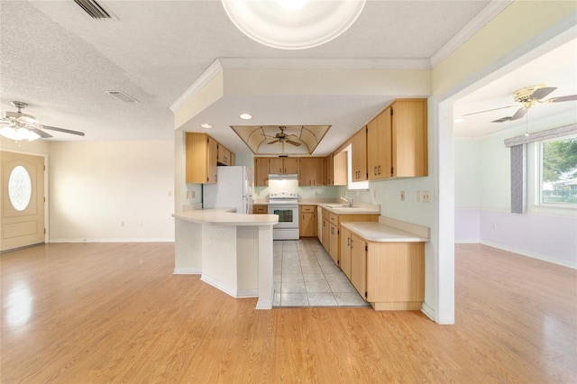 8375 SW 109th Lane Rd, Ocala, FL 34481 - kitchen with white appliances, light countertops, ceiling fan, a sink, and crown molding