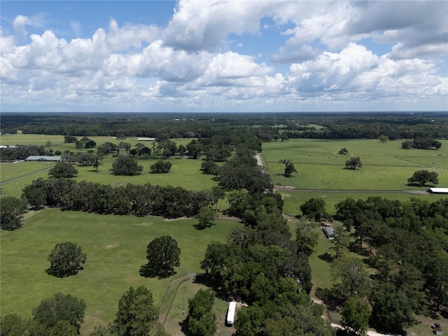 4091 NE 185th Ave, Williston, FL 32696 - photo 91