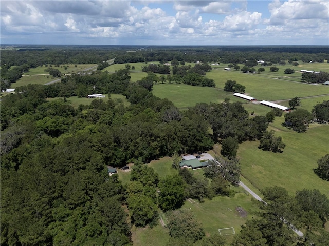4091 NE 185th Ave, Williston, FL 32696 - photo 92