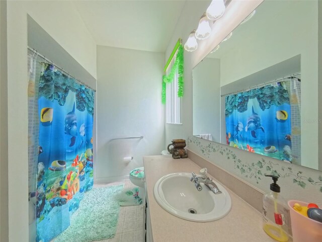 5340 NW 26th Ln, Ocala, FL 34482 - bathroom with vanity and a shower with curtain