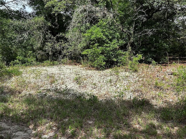 TBD Uplands Ave, Dunnellon, FL 34431
