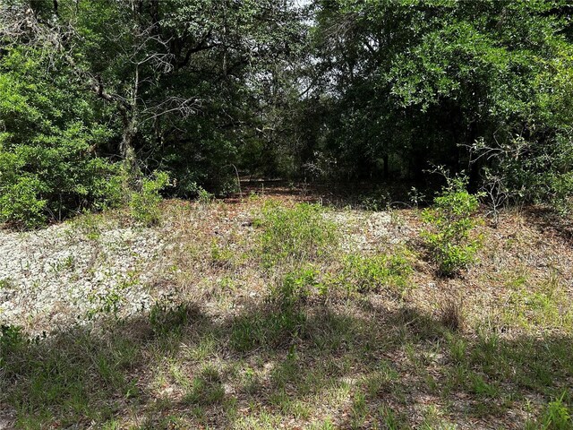 TBD Uplands Ave, Dunnellon, FL 34431