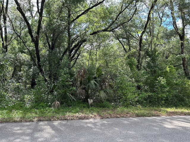 TBD Uplands Ave, Dunnellon, FL 34431