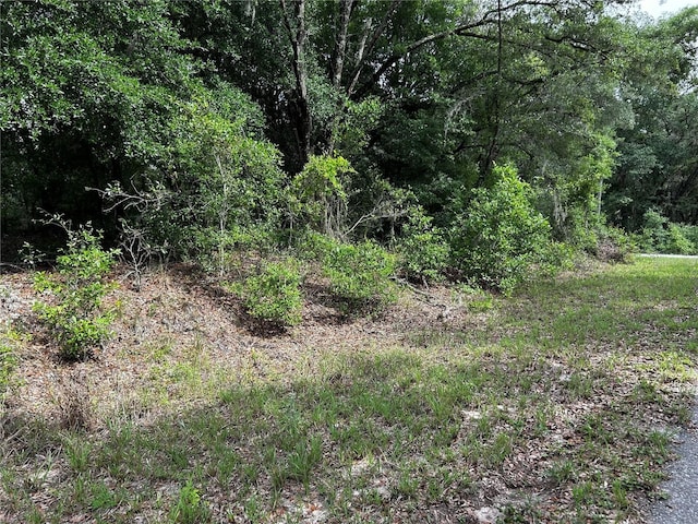 TBD Uplands Ave, Dunnellon, FL 34431