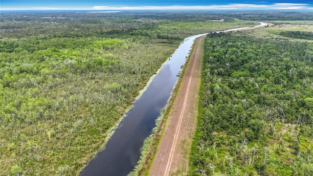 bird's eye view of a nearby body of water and a forest