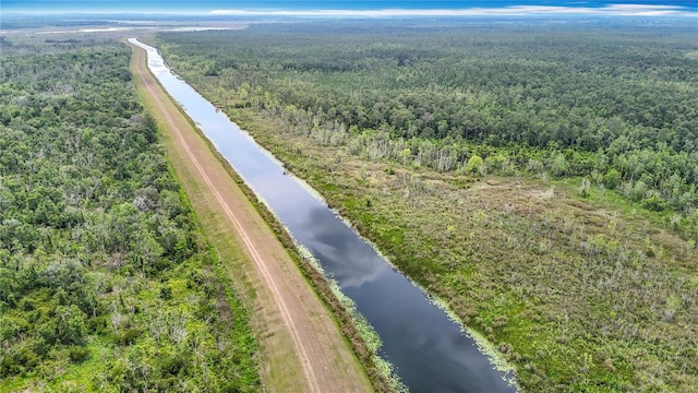 drone / aerial view of a forest and a large body of water