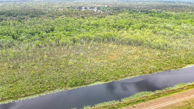 drone / aerial view of a forest and a nearby body of water
