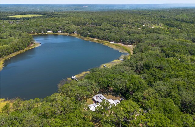 943 S County Road 21, Hawthorne, FL 32640 - photo 2
