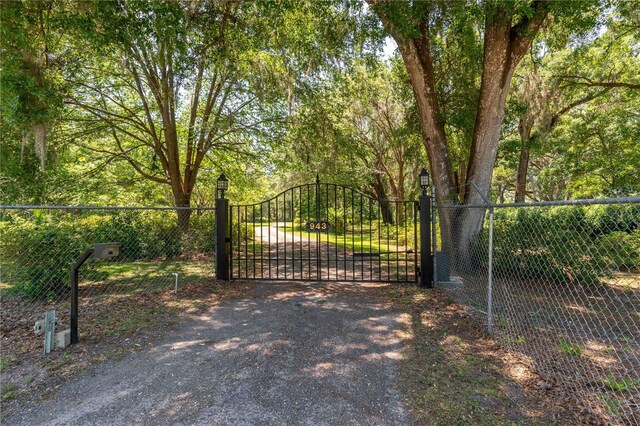 943 S County Road 21, Hawthorne, FL 32640 - photo 3