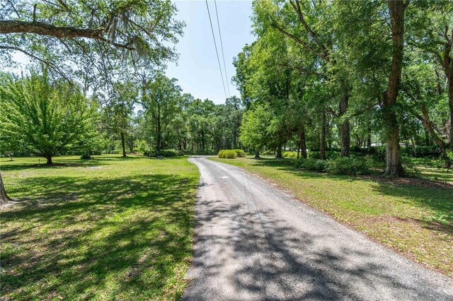 943 S County Road 21, Hawthorne, FL 32640 - photo 4