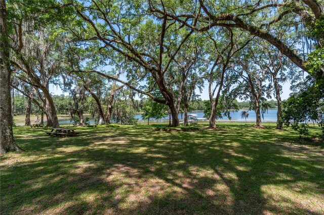 943 S County Road 21, Hawthorne, FL 32640 - photo 64