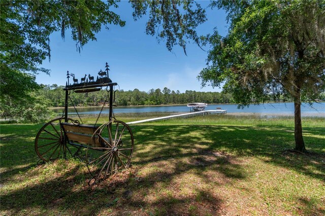 943 S County Road 21, Hawthorne, FL 32640 - photo 65