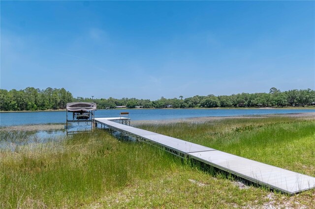 943 S County Road 21, Hawthorne, FL 32640 - photo 68