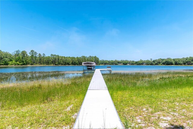 943 S County Road 21, Hawthorne, FL 32640 - photo 69