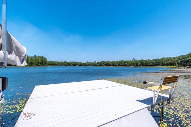 943 S County Road 21, Hawthorne, FL 32640 - photo 71