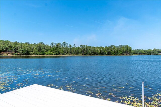 943 S County Road 21, Hawthorne, FL 32640 - photo 72