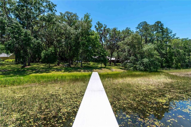 943 S County Road 21, Hawthorne, FL 32640 - photo 74