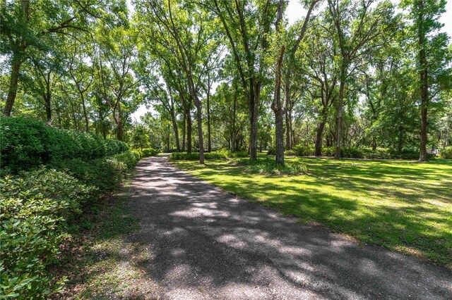 943 S County Road 21, Hawthorne, FL 32640 - photo 81