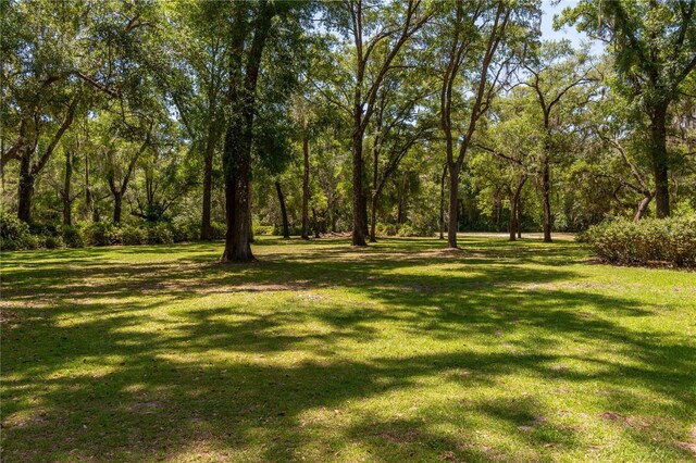 943 S County Road 21, Hawthorne, FL 32640 - photo 88