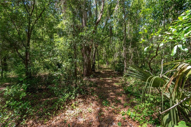 943 S County Road 21, Hawthorne, FL 32640 - photo 89