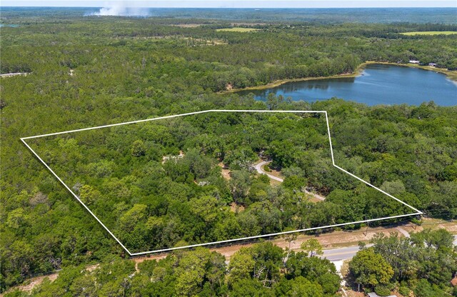 943 S County Road 21, Hawthorne, FL 32640 - photo 90