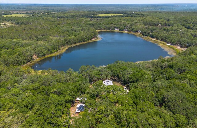 943 S County Road 21, Hawthorne, FL 32640 - photo 91