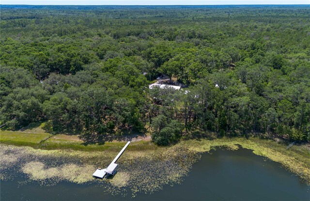 943 S County Road 21, Hawthorne, FL 32640 - photo 92